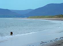 Rossbehy Beach Kerry Irland